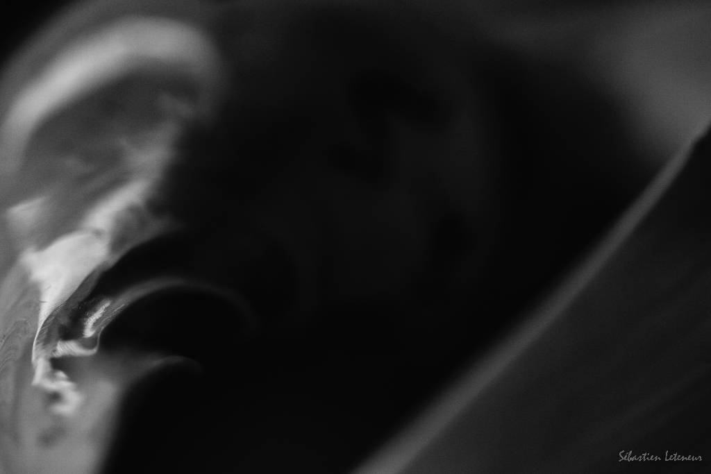 La mort
